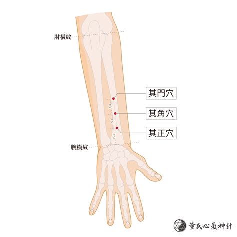 消積穴|其門穴、其角穴、其正穴 